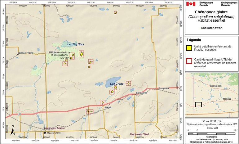 L’habitat essentiel du chénopode glabre en Saskatchewan