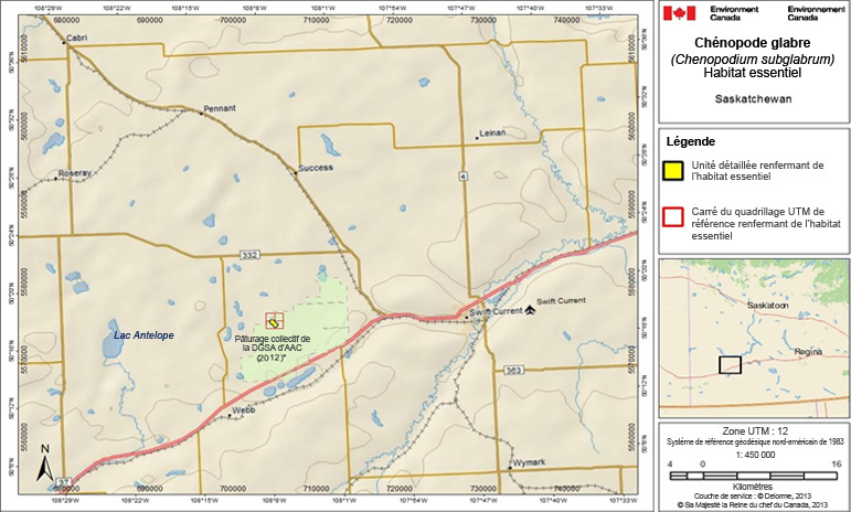 L’habitat essentiel du chénopode glabre en Saskatchewan