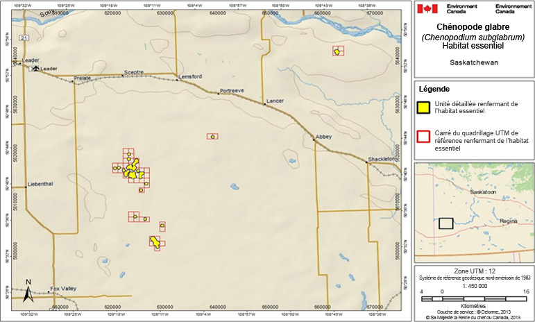 L’habitat essentiel du chénopode glabre en Saskatchewan