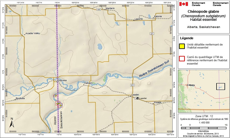 L’habitat essentiel du chénopode glabre en Saskatchewan et en Alberta