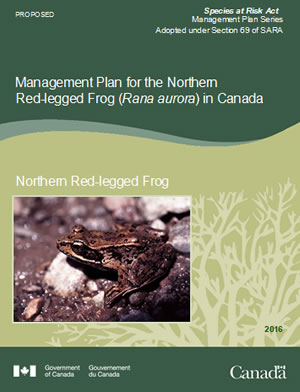 Cover of publication