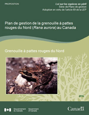 Couverture de la publication - partie 2