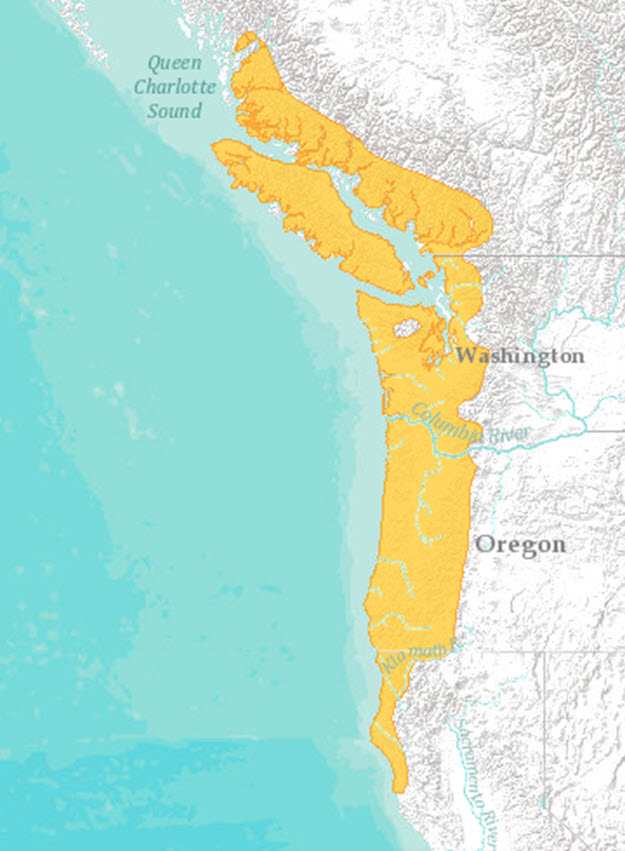 Range map showing global distribution of the Northern Red-legged Frog