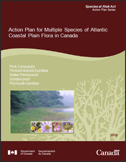 Action Plan for Multiple Species of Atlantic Coastal Plain Flor