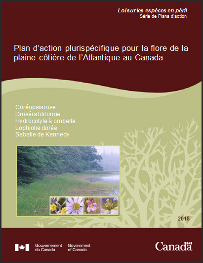 Plan d’action plurispécifique pour la flore de la plaine côtière de l’Atlantique