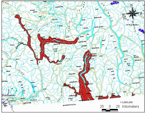 Figure 4. Range of the Western Yellow-bellied Racer, C. c. mormon, in British Columbia.