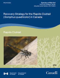 Cover of publication - Federal