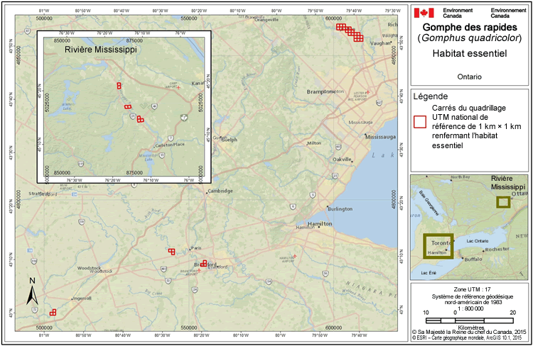 Le quadrillage UTM de 1 km x 1 km montré dans cette figure est un système de quadrillage national de référence qui indique l'emplacement géographique général renfermant de l'habitat essentiel.