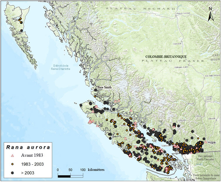 Répartition canadienne du Grenouille à pattes rouges du Nord