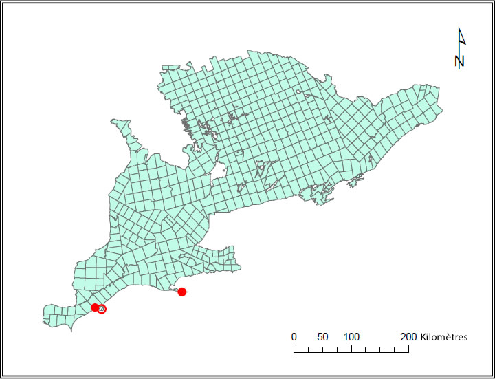 Figure 2. Localité historique (cercle vide) et localités actuelles (cercles pleins) de l'éléocharide géniculée en Ontario.