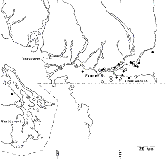 Figure 4.&nbsp; Canadian distribution of Allogona townsendiana