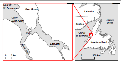 Figure 2. Location of Bonne Bay Fjord, Newfoundland. (See long description below)