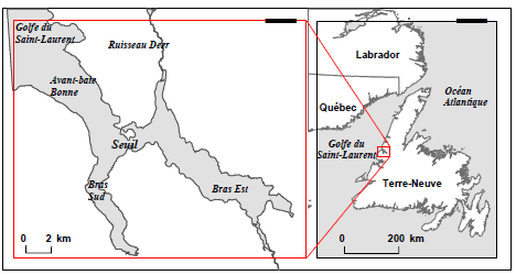 Figure 2. Fjord de la baie Bonne, à Terre-Neuve. (Voir description longue ci-dessous.)