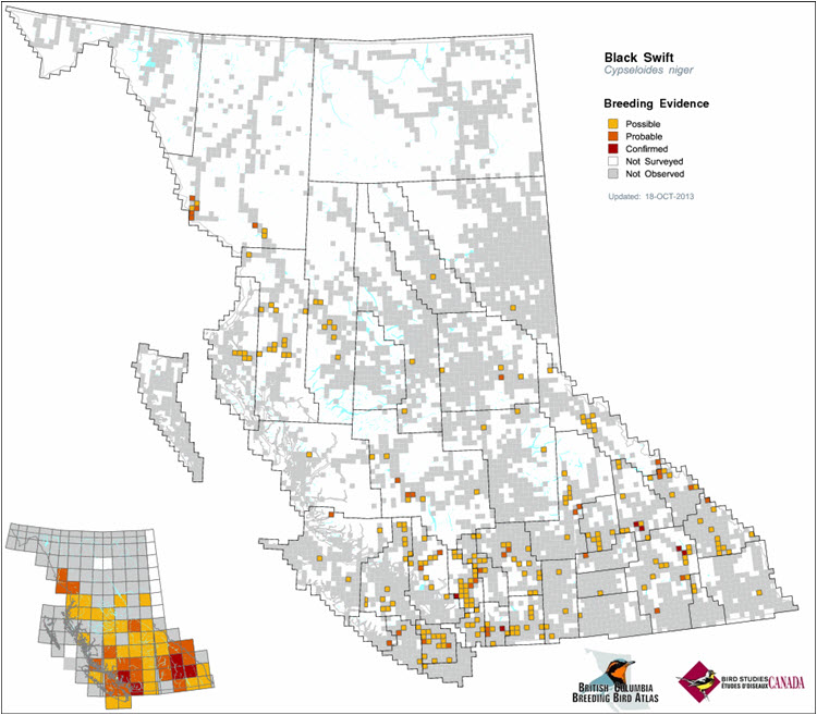 Breeding records from the British Columbia Breeding Bird Atlas