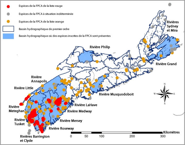 Bassins hydrographiques (de premier ordre) à priorité élevée où des espèces de la FPCA à priorité élevée sont présentes en Nouvelle-Écosse. Ces bassins sont au nombre de 13.