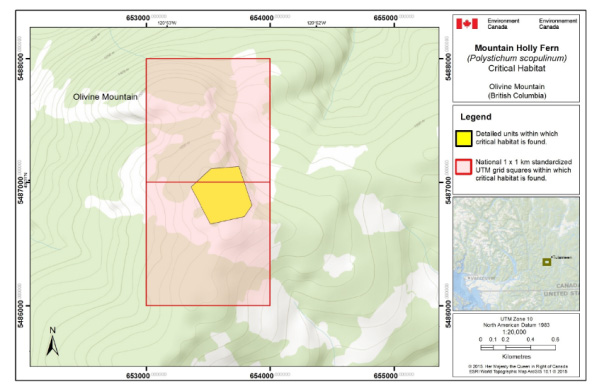 Figure 1a is a map showing Critical habitat for Mountain Holly Fernin at Grasshopper Mountain and Britton Creek