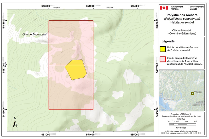 carte présentant les carrés du quadrillage normalisé de 1 km × 1 km qui renferment l'habitat essentiel du polystic des rochers au mont Grasshopper et au ruisseau Britton