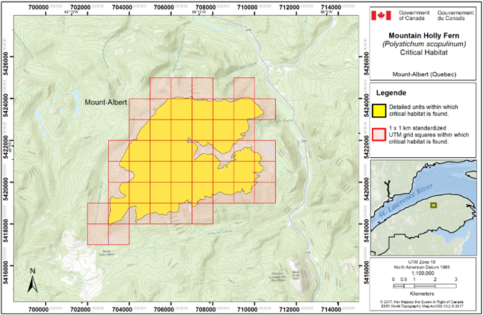 Figure 2 is a map showing Critical habitat for Mountain Holly Fernin in Quebec