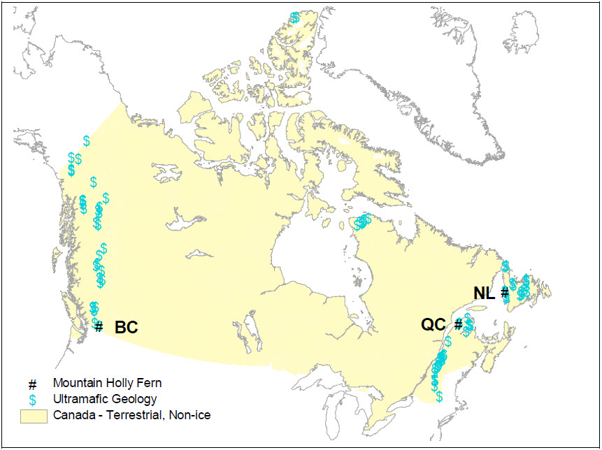 map of mountain holly fern distribution in Canada in relation to ultramafic geology