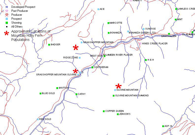 map of the mining activity locations near mountain holly fern populations in British Columbia