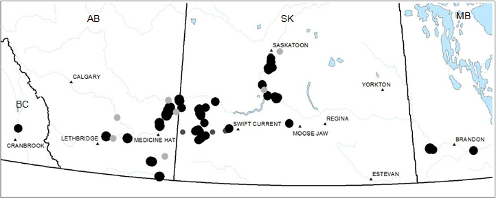 Aire de répartition du chénopode glabre au Canada