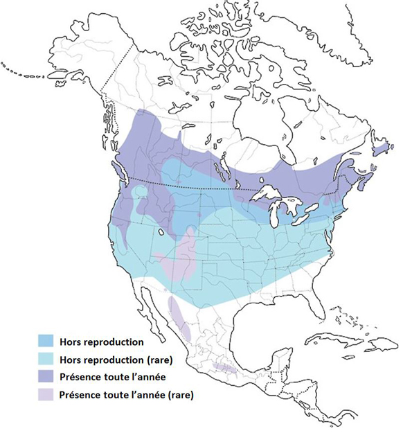 Carte de l'Amérique du Nord. Description longue situé dans la paragraphe précédent.