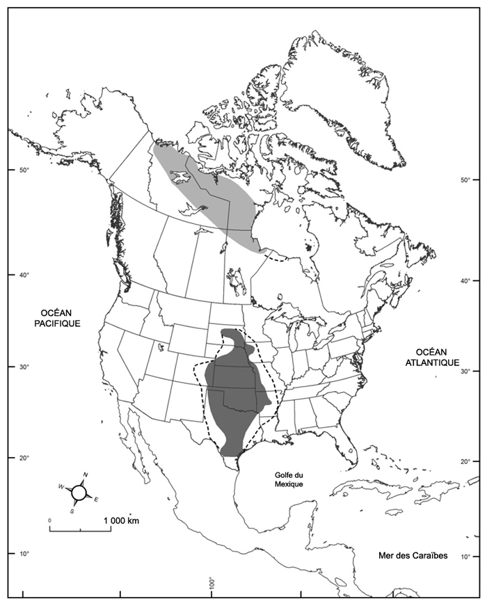 Carte de l'Amérique du Nord. Description longue situé dans la paragraphe précédent.