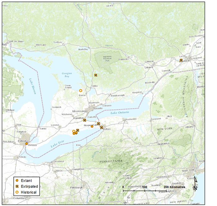 Map of Southeastern Ontario. Long description in preceding paragraph.