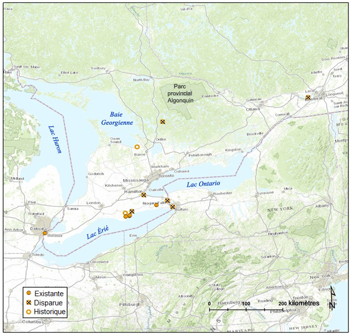 Carte du sud-est de l'Ontario. Description longue situé dans la paragraphe précédent.