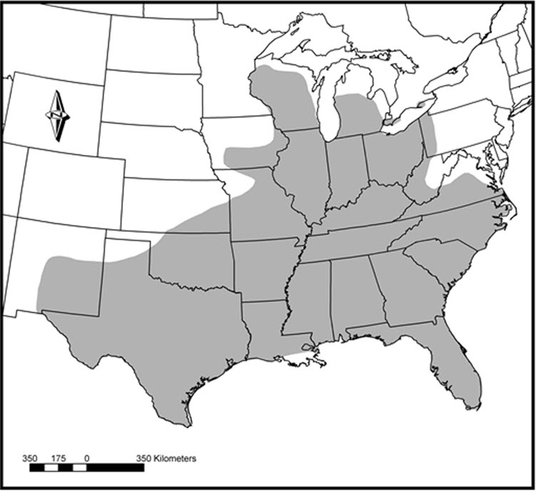 Map showing the global distribution of the Warmouth.