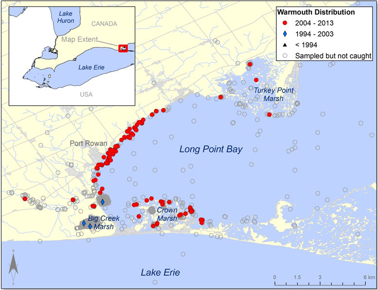 Map showing distribution of the Warmouth in Long Point Bay