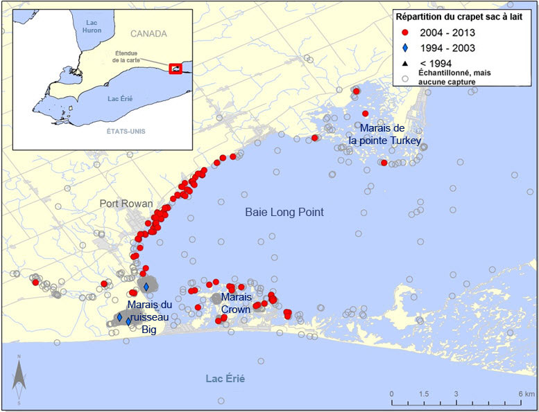 Répartition  du crapet sac-à-lait dans la baie Long Point