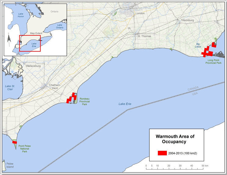 Index of area of occupancy (IAO) (2004-2013)