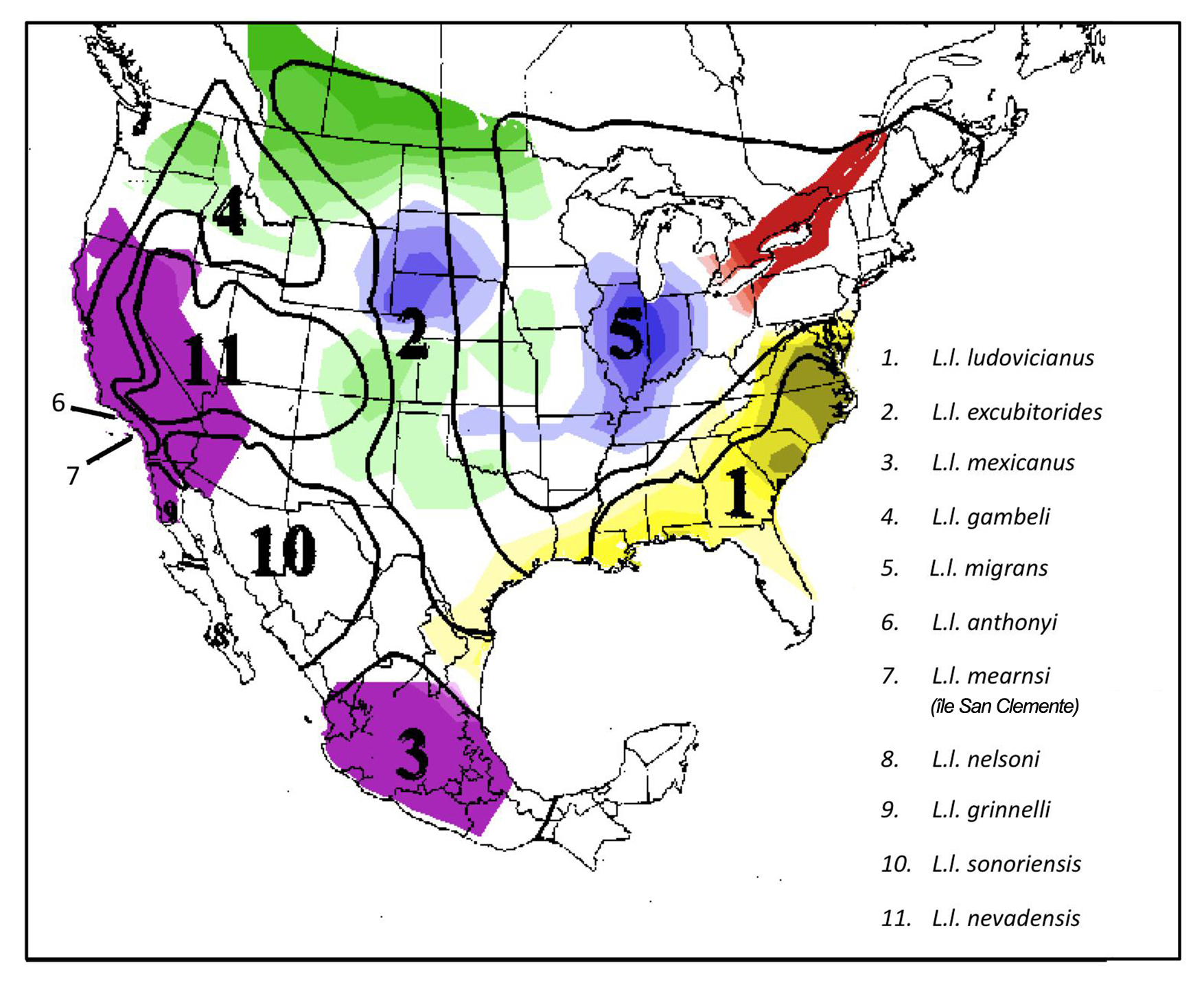 La description de cette image suit