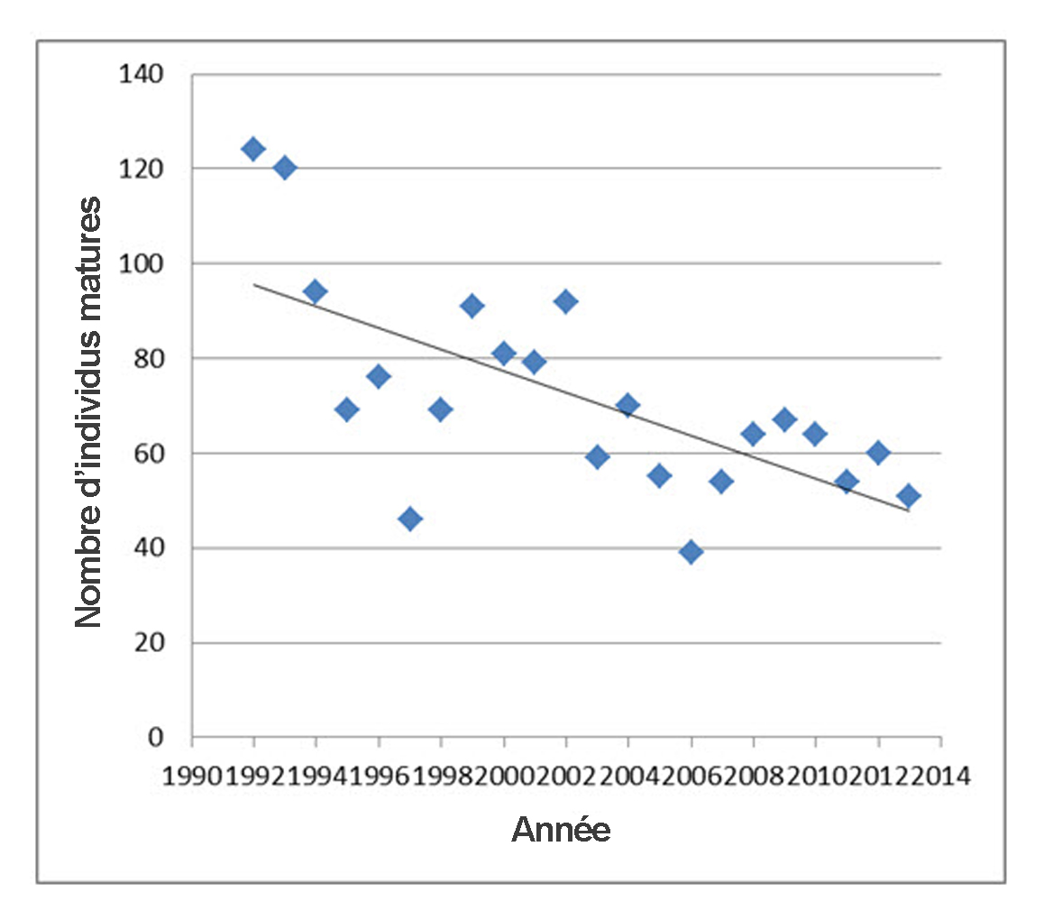 La description de cette image suit