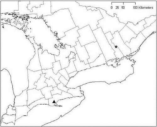 Figure 3 is a map of the Ontario distribution and occurrences of Toothcup. (See long description below)