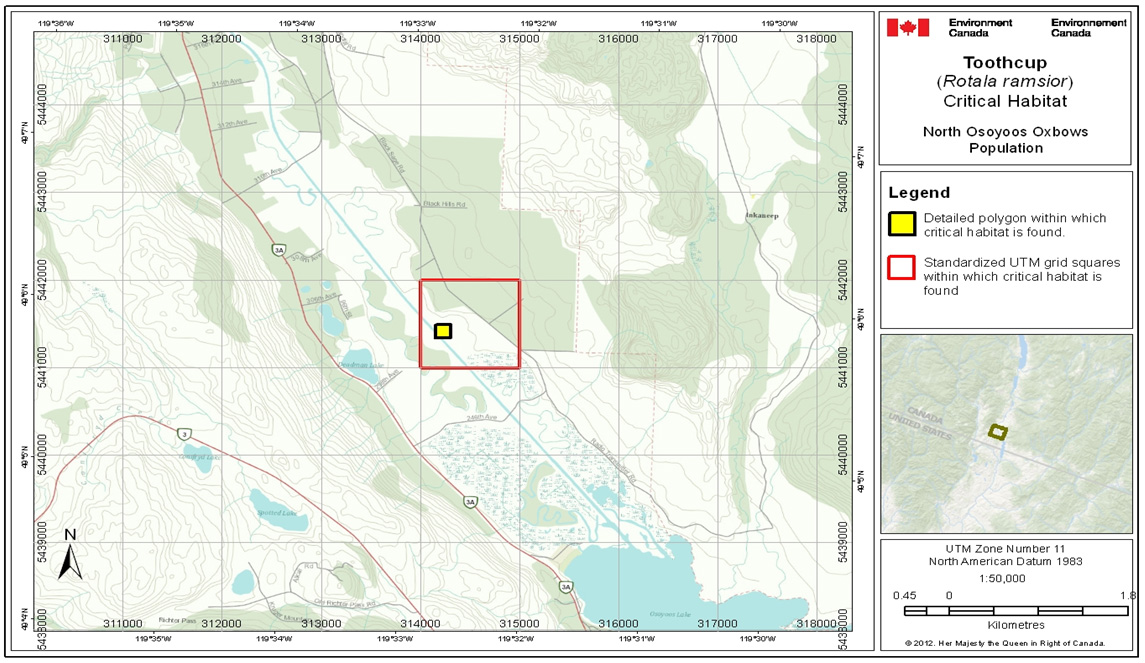 Figure A2 is a map of where critical habitat for the North Osoyoos Oxbows Population can be found. (See long description below)