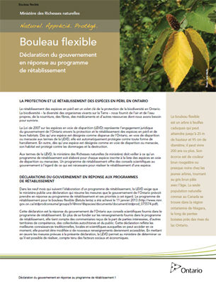photo de couverture : Partie 3 – Déclaration du gouvernement en réponse au programme de rétablissement du bouleau flexible