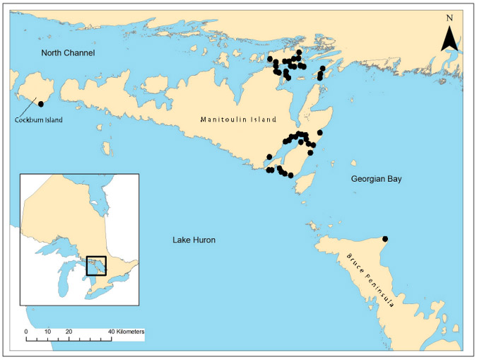 A long description for figure 1 is provided below
