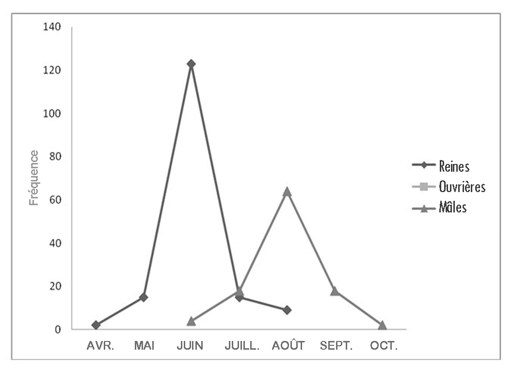 Figure 6. Phénologie du développement du psithyre bohémien dans le sud de l’Ontario (d’après les spécimens récoltés de 1883 à 2008). La mention la plus hâtive a été enregistrée le 21 avril (n = 275 [à noter que des mentions historiques additionnelles ont été ajoutées aux mentions de l’Ontario depuis la production de ce graphique, voir le tableau 2]) (reproduction autorisée de Colla, 2012). La description de cette image suit Image : © Environnement Canada