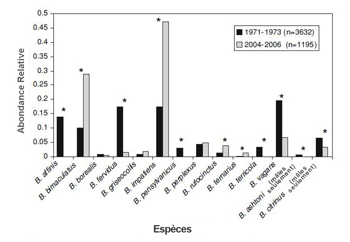 La description de cette image suit