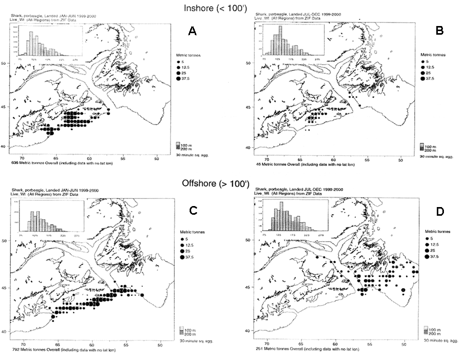 Figure 4.  Catch location for inshore and offshore vessels between January and June and between July and December of 1999 and 2000, showing seasonal changes in porbeagle distribution. Also shown are the associated porbeagle length-frequency histograms. Reprinted with permission from Campana et al. 2001.