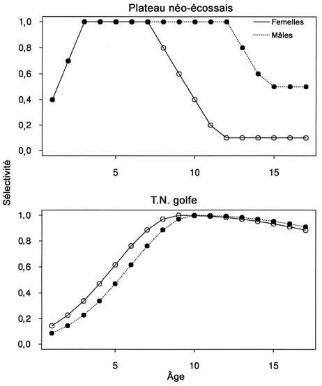 Figure 5. Courbes de sélectivité selon l’âge et le sexe fixées dans le modèle pour le cas de référence. Reproduites avec l’autorisation de Campana et al., 2001.