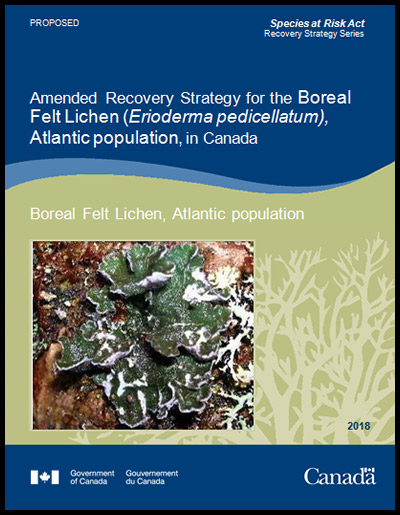 Photo of document cover