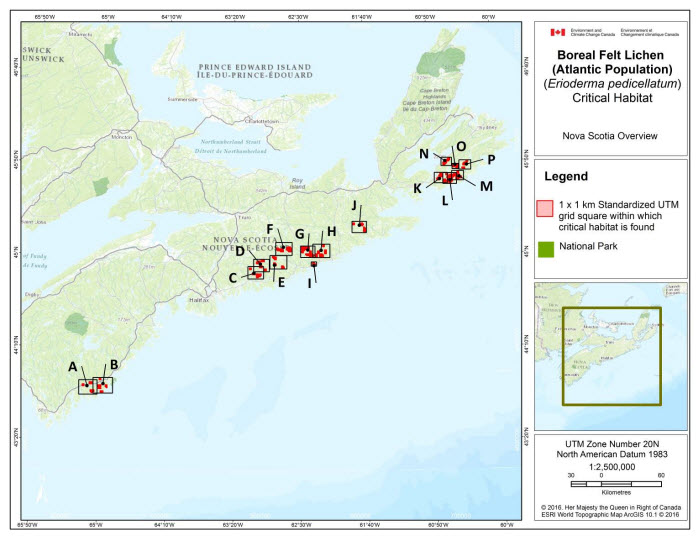 Map of Nova Scotia Overview (see long description below)
