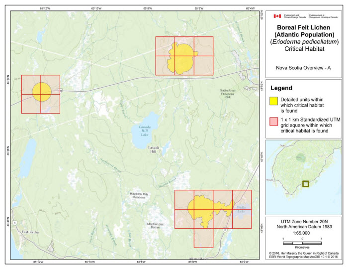 Map of Nova Scotia Overview A (see long description below)