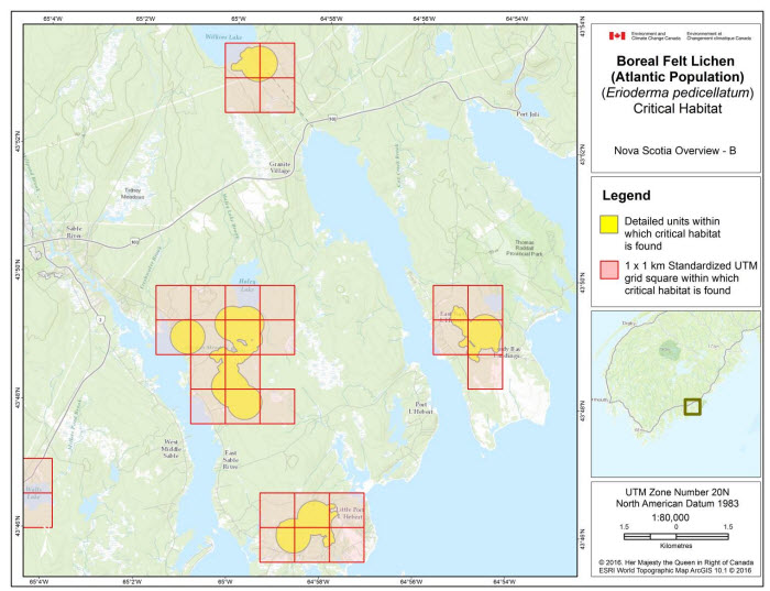 Map of Nova Scotia Overview B (see long description below)