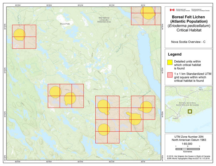 Map of Nova Scotia Overview C  (see long description below)