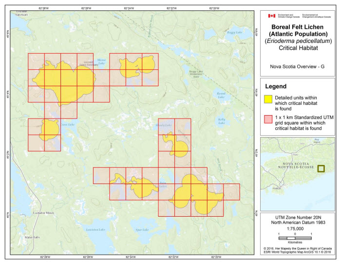 Map of Nova Scotia Overview G  (see long description below)