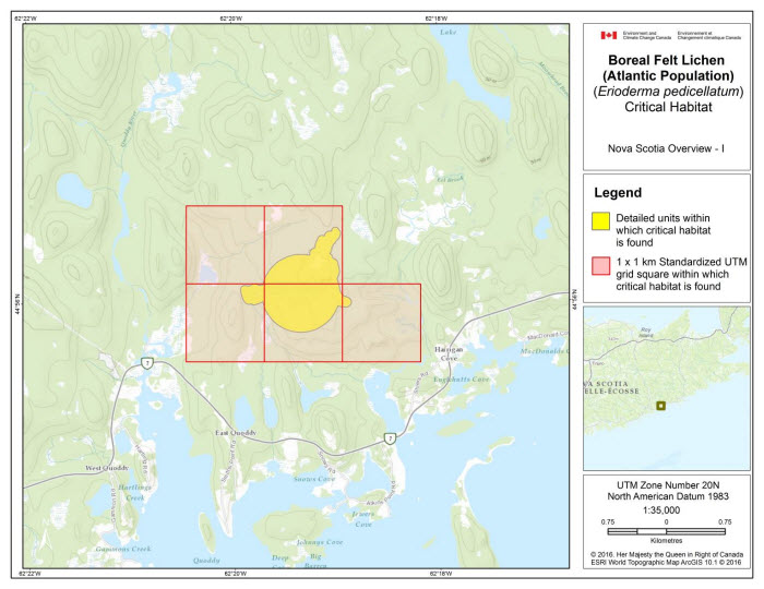 Map of Nova Scotia Overview I  (see long description below)